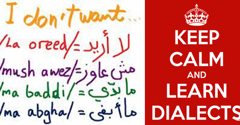 lebanese dialect and literal arabic buy